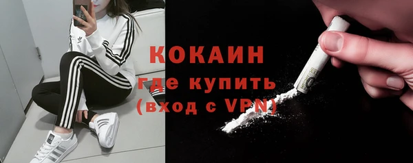 сатива Горнозаводск