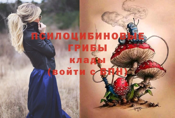 сатива Горнозаводск