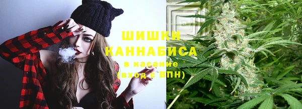 сатива Горнозаводск