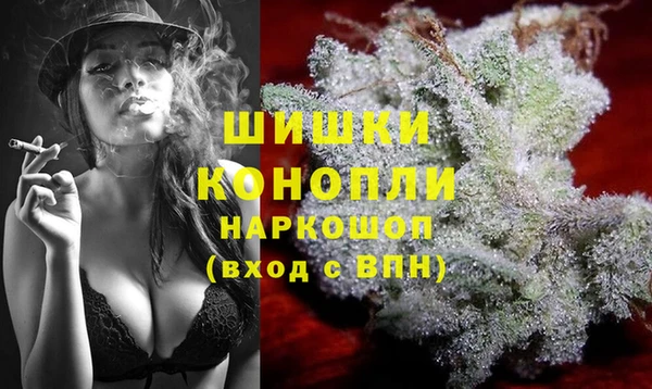 сатива Горнозаводск