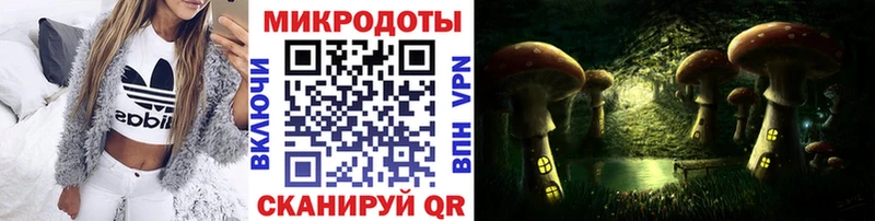 Галлюциногенные грибы Magic Shrooms  купить наркотики сайты  кракен как зайти  Владикавказ 
